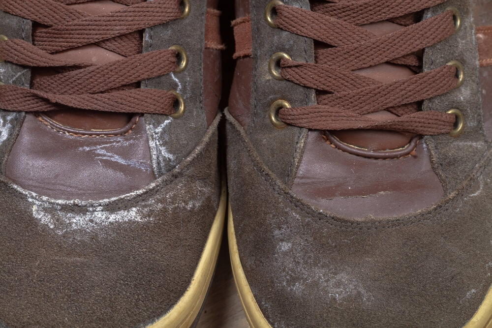 how to survive salt stains this winter