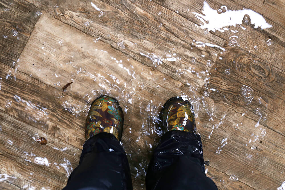 water damaged shoes