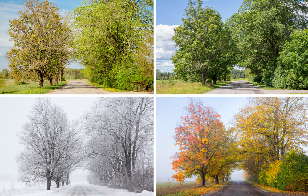 different seasons