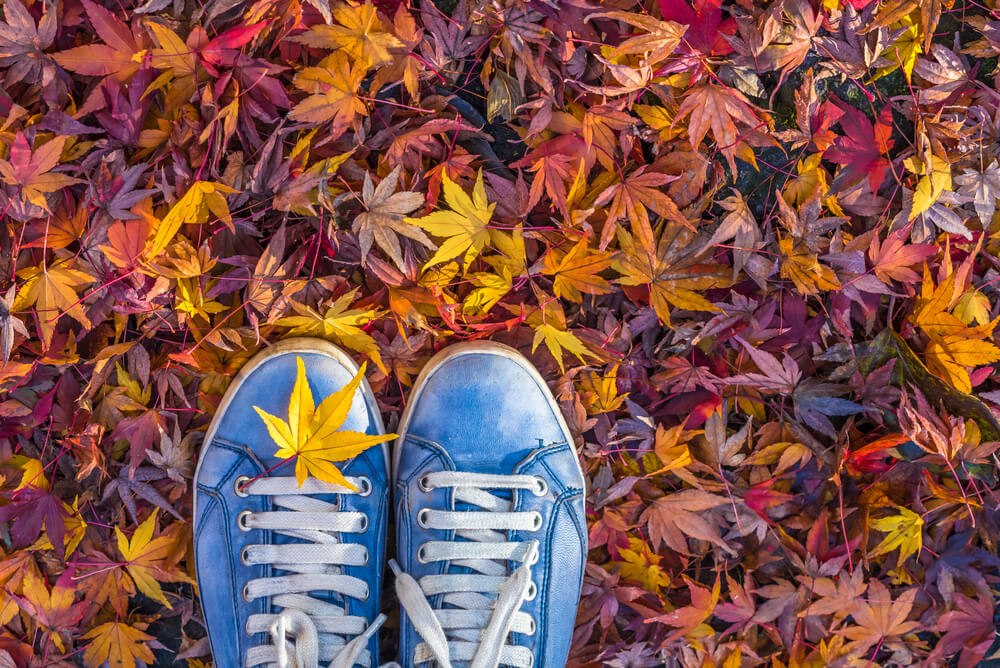 fall shoe care
